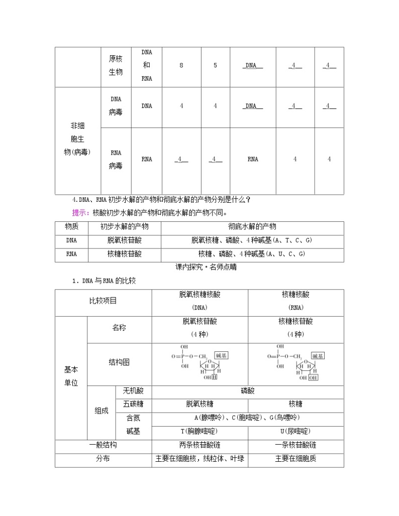 新教材适用2023_2024学年高中生物第2章组成细胞的分子第5节核酸是遗传信息的携带者学案新人教版必修103