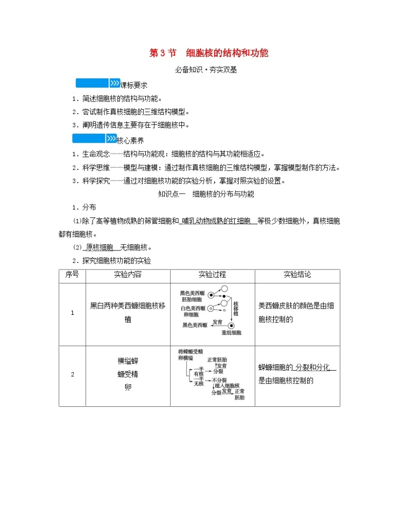 新教材适用2023_2024学年高中生物第3章细胞的基本结构第3节细胞核的结构和功能学案新人教版必修101