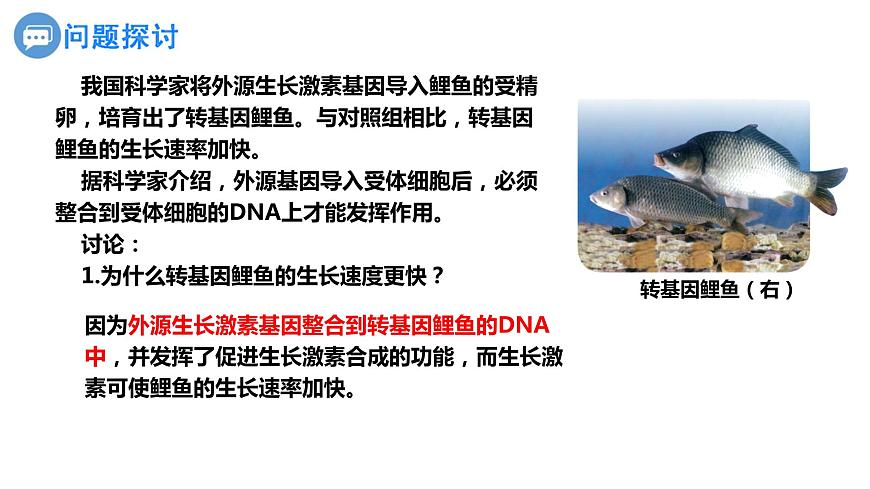 人教版高中生物必修二3.4基因通常是有遺傳效應(yīng)的DNA片段課件第2頁(yè)