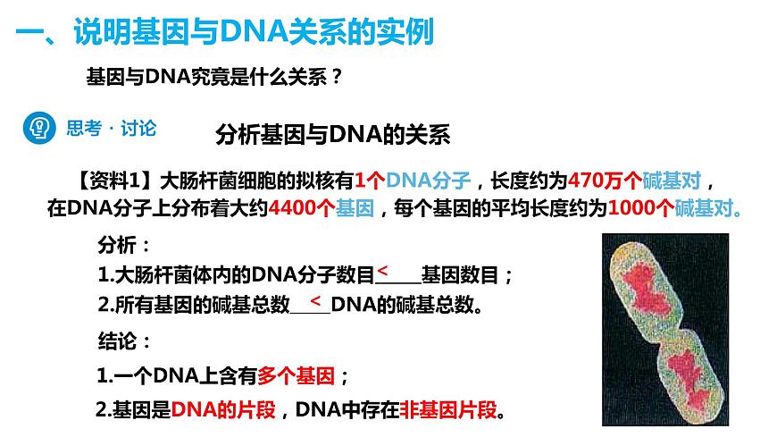 人教版高中生物必修二3.4基因通常是有遺傳效應(yīng)的DNA片段課件第4頁(yè)