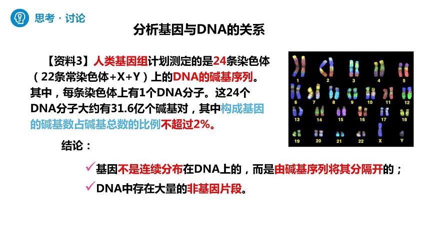 人教版高中生物必修二3.4基因通常是有遺傳效應(yīng)的DNA片段課件第6頁(yè)