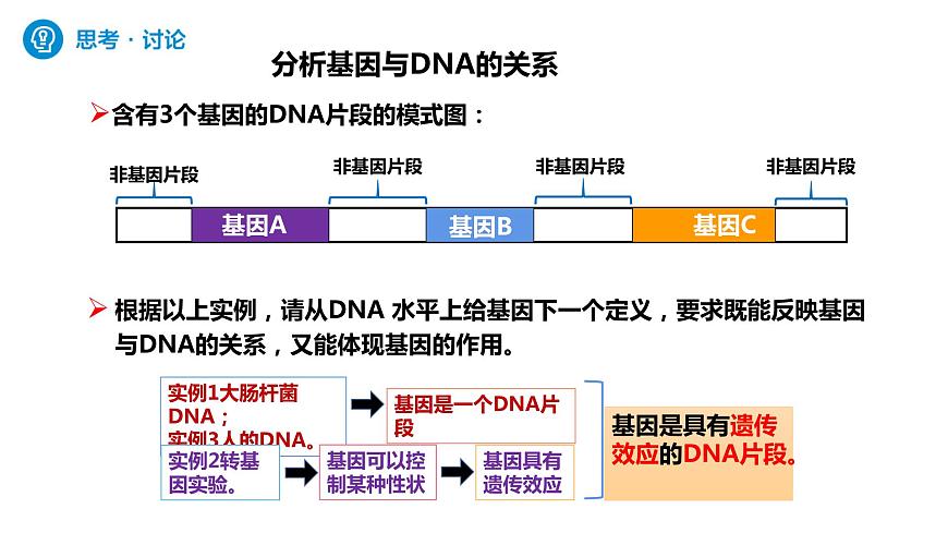 人教版高中生物必修二3.4基因通常是有遺傳效應(yīng)的DNA片段課件第7頁(yè)