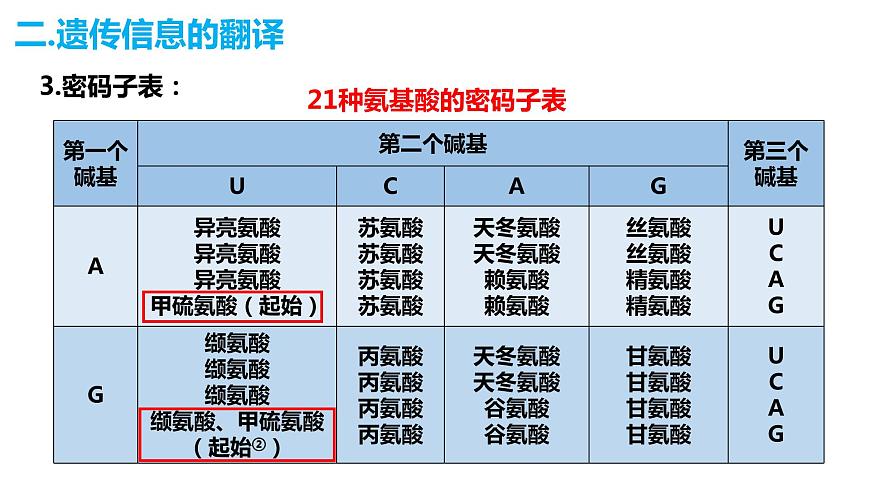 人教版高中生物必修二4.1基因指導(dǎo)蛋白質(zhì)的合成（第二課時(shí)）課件第6頁(yè)