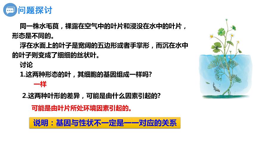人教版高中生物必修二4.2基因表達與性狀的關系課件第2頁