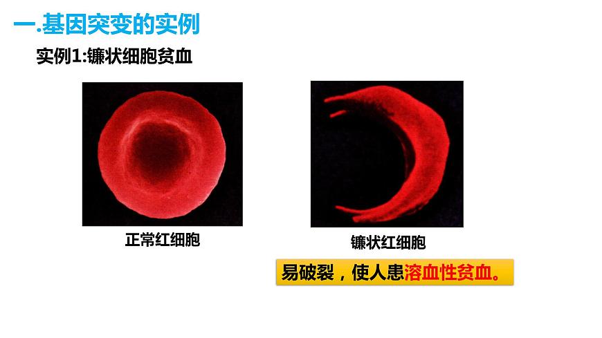 人教版高中生物必修二5.1基因突變和基因重組課件第3頁