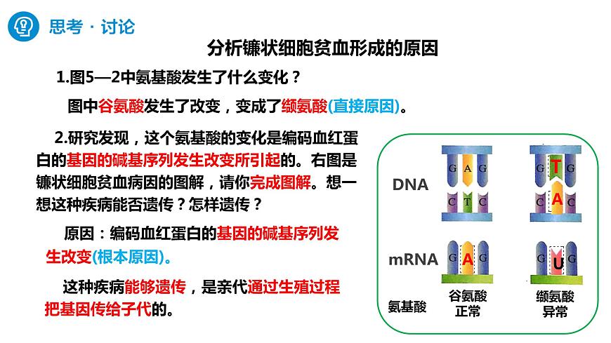 人教版高中生物必修二5.1基因突變和基因重組課件第5頁