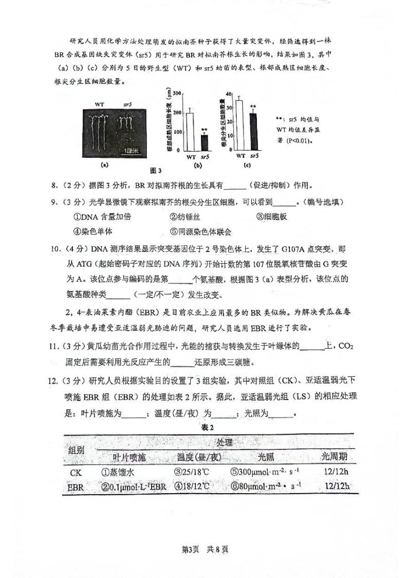 2024届上海市闵行区高三一模生物试卷03