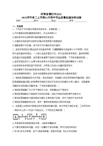 河南省濮阳市2023-2024学年高二上学期11月期中学业质量检测生物试卷(含答案)