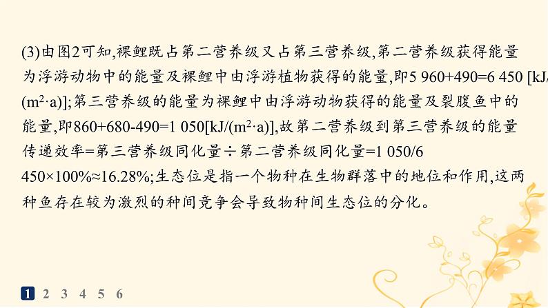 适用于新高考新教材2024版高考生物二轮复习大题分析与表达练5生物与环境课件第6页
