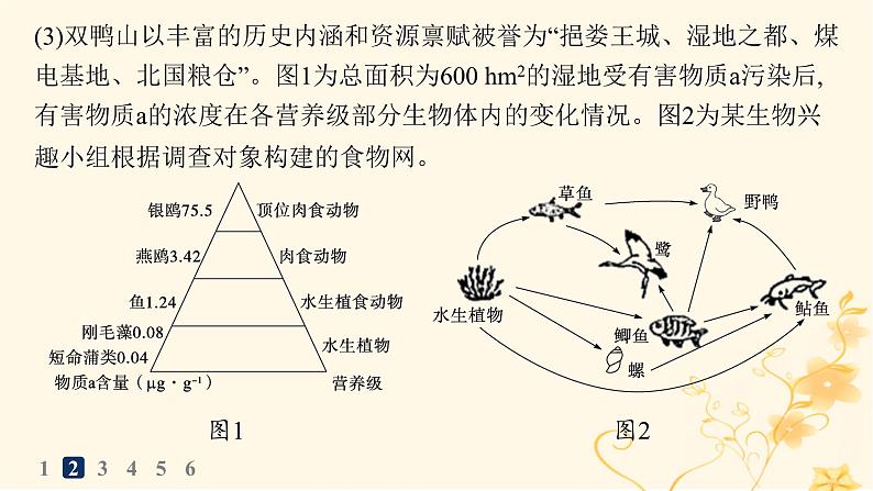 适用于新高考新教材2024版高考生物二轮复习大题分析与表达练5生物与环境课件第8页