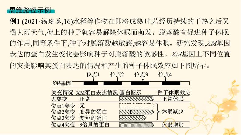 适用于新高考新教材2024版高考生物二轮复习生物学关键能力专项专项3逻辑推理课件07