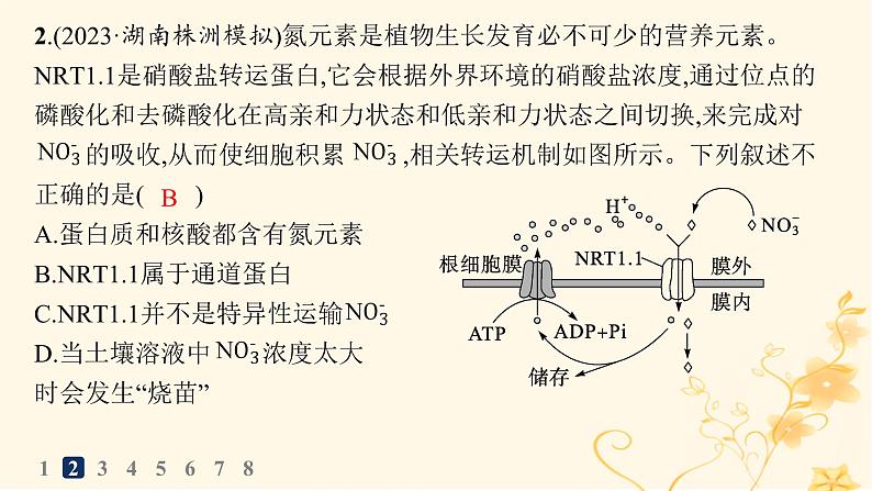 适用于新高考新教材2024版高考生物二轮复习知识对点小题练2物质出入细胞的方式课件第4页
