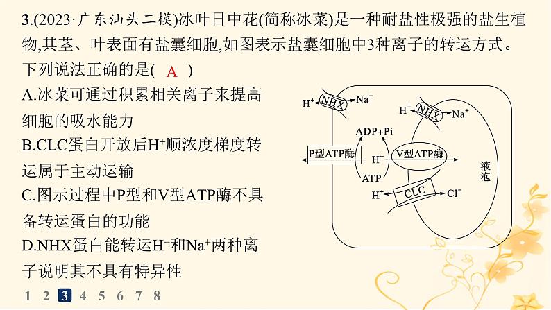 适用于新高考新教材2024版高考生物二轮复习知识对点小题练2物质出入细胞的方式课件第6页