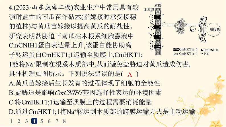 适用于新高考新教材2024版高考生物二轮复习知识对点小题练2物质出入细胞的方式课件第8页