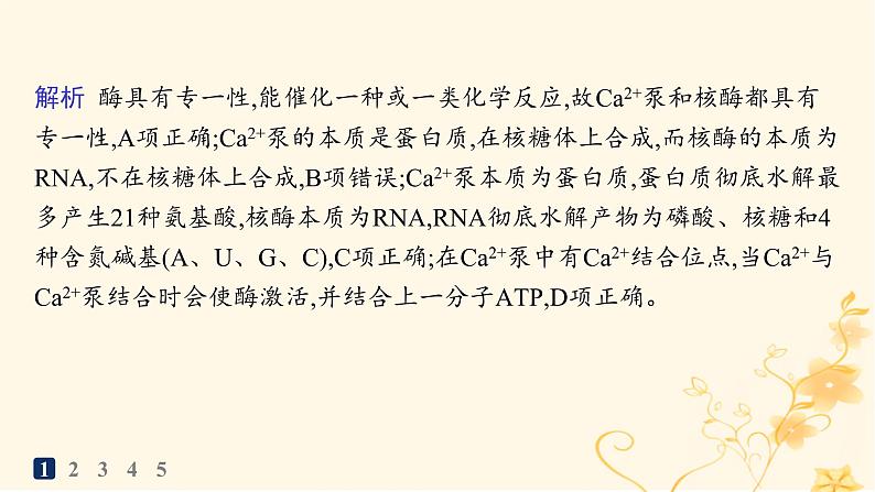 适用于新高考新教材2024版高考生物二轮复习知识对点小题练3酶与ATP课件第3页