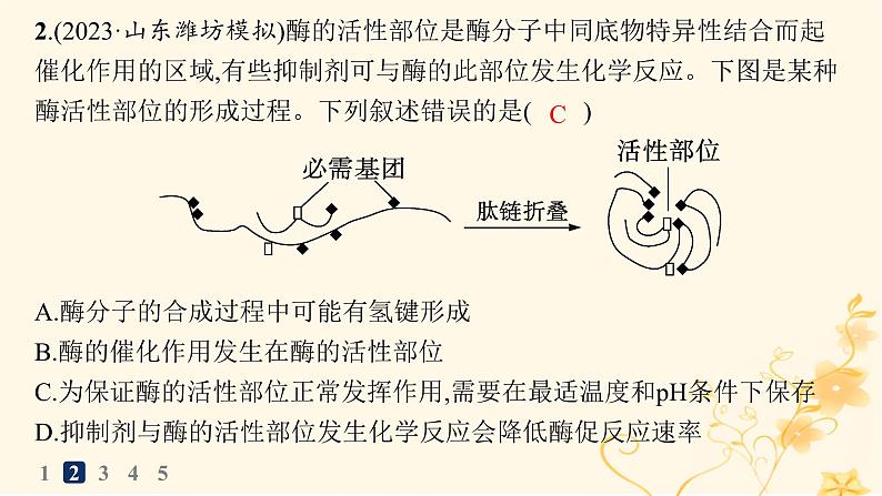 适用于新高考新教材2024版高考生物二轮复习知识对点小题练3酶与ATP课件第4页