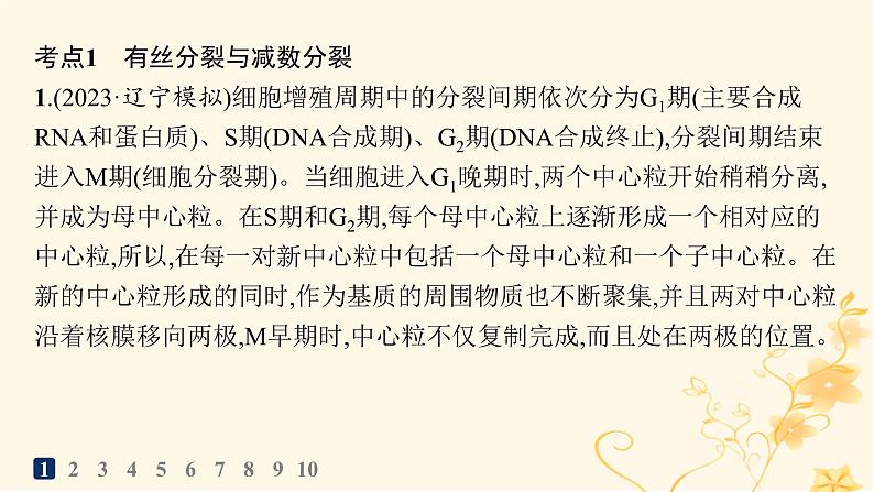 适用于新高考新教材2024版高考生物二轮复习专题突破练3细胞的生命历程课件第3页