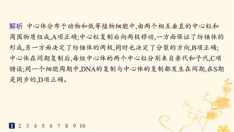 适用于新高考新教材2024版高考生物二轮复习专题突破练3细胞的生命历程课件第5页