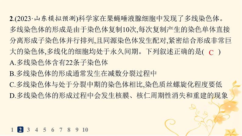 适用于新高考新教材2024版高考生物二轮复习专题突破练3细胞的生命历程课件第6页