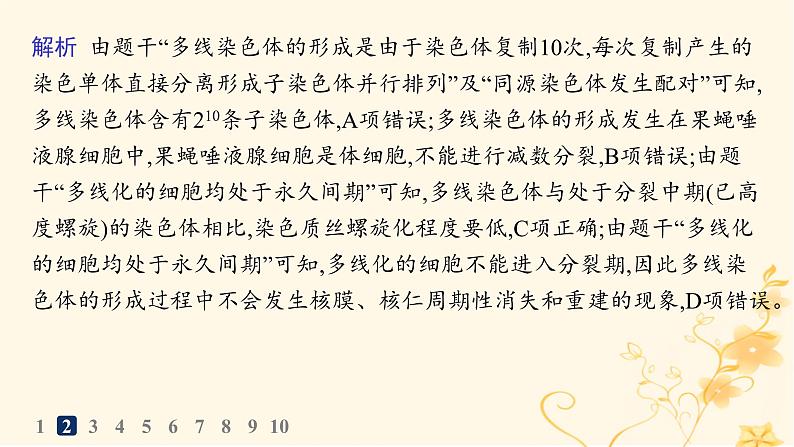 适用于新高考新教材2024版高考生物二轮复习专题突破练3细胞的生命历程课件第7页