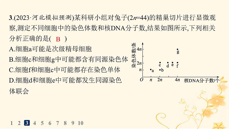 适用于新高考新教材2024版高考生物二轮复习专题突破练3细胞的生命历程课件第8页