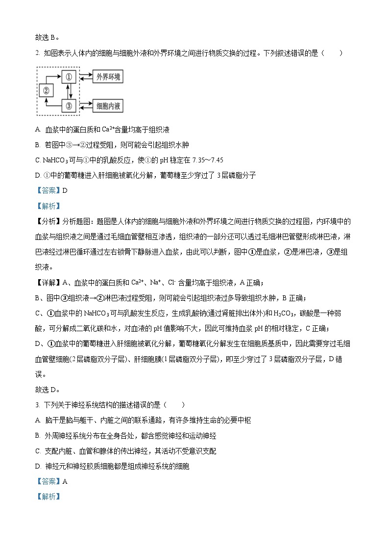 江苏省扬州市高邮市一中2023-2024学年高二上学期期中模拟生物试题02