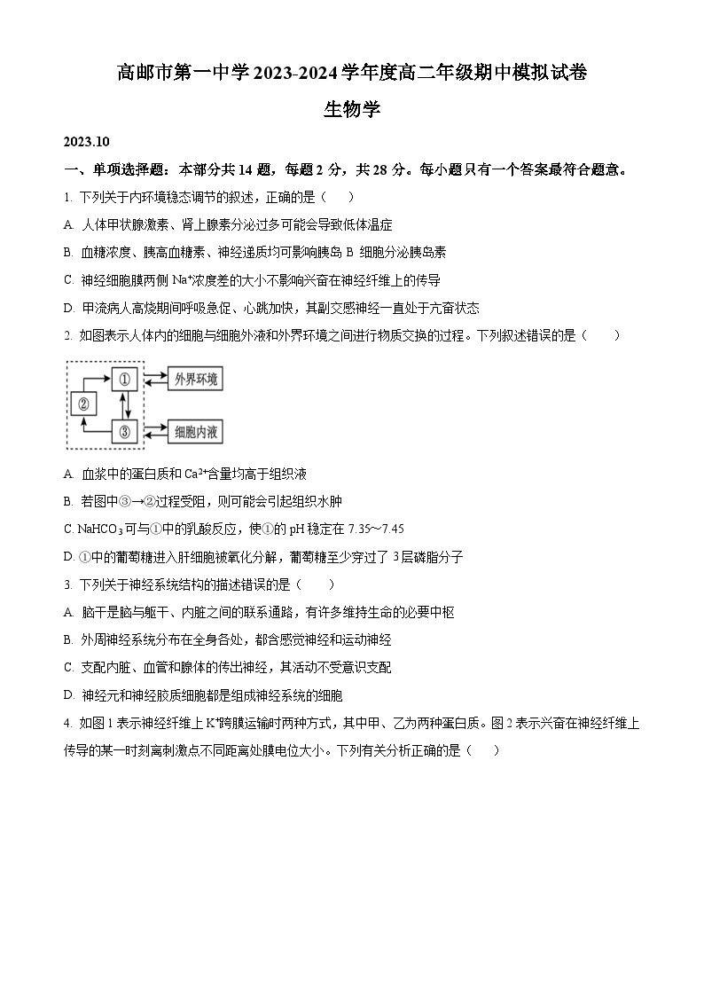 江苏省扬州市高邮市一中2023-2024学年高二上学期期中模拟生物试题01