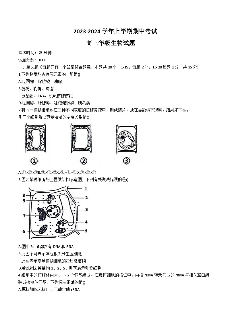 河北省衡水市冀州中学2023-2024学年高三上学期期中考试 生物 无答案01