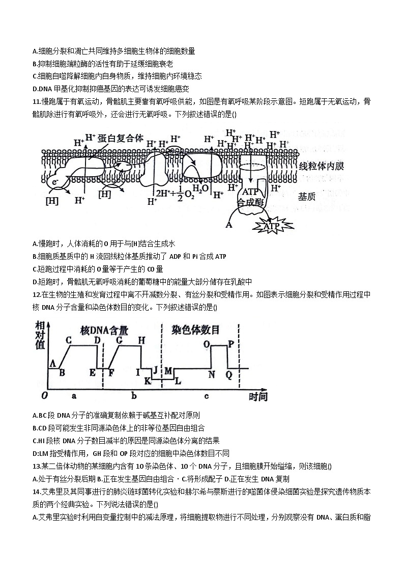 河北省衡水市冀州中学2023-2024学年高三上学期期中考试 生物 无答案03