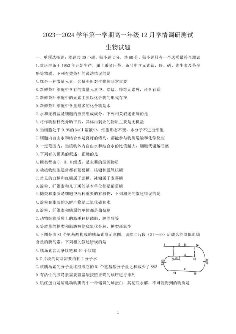 2024扬州高邮高一上学期12月月考试题生物PDF版含答案01