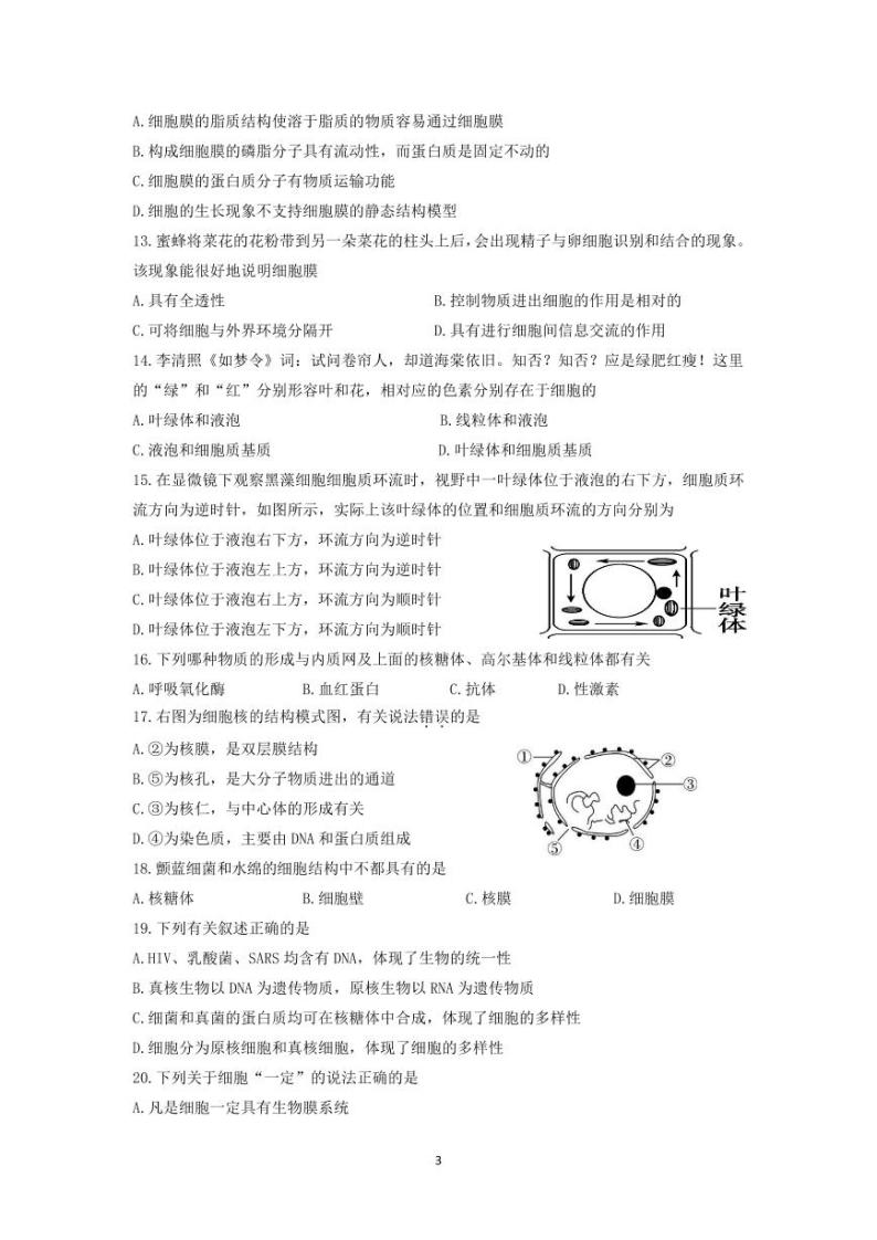 2024扬州高邮高一上学期12月月考试题生物PDF版含答案03
