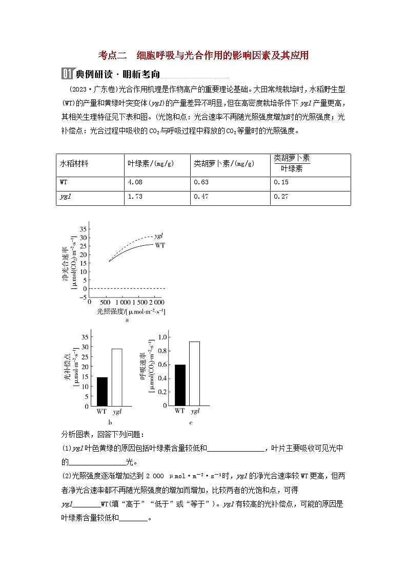 2024届高考生物二轮专题复习与测试专题二细胞代谢第4讲细胞呼吸与光合作用考点二细胞呼吸与光合作用的影响因素及其应用第1页