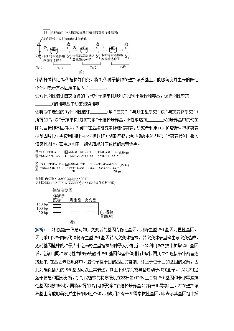 2024届高考生物二轮专题复习与测试专题九生物技术与工程高考命题热点十荧光定量PCR技术第2页