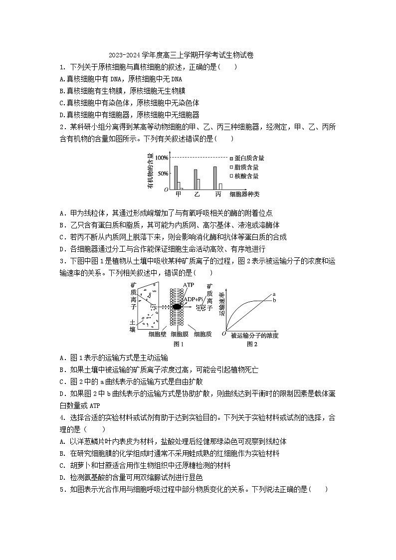 四川省南充市白塔中学2023-2024学年高三上学期开学考试生物试题第1页