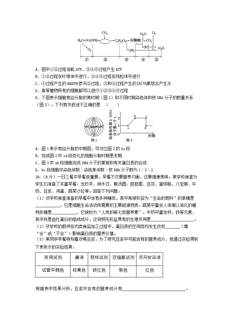 四川省南充市白塔中学2023-2024学年高三上学期开学考试生物试题第2页