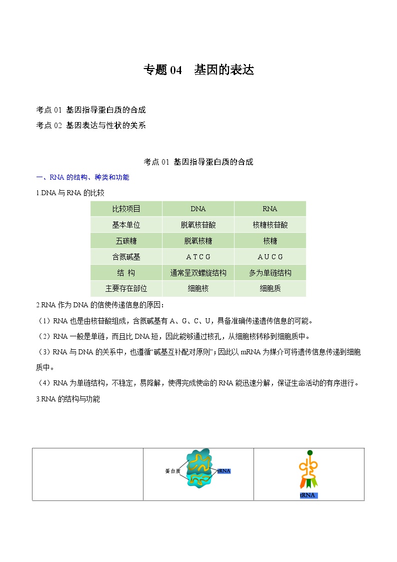 【知识梳理】2024年高中生物学业水平考试（新教材专用）专题04 基因的表达-讲义