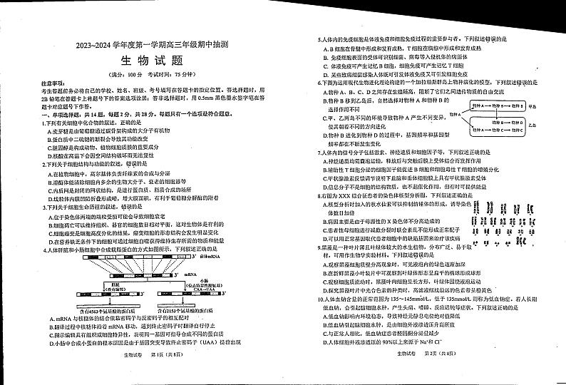 江苏省徐州市第七中学2023-2024学年高三上学期11月期中生物试题01