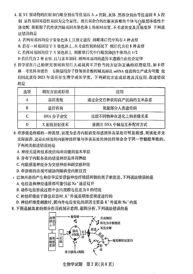 河南省天一大联考2023-2024学年高三阶段性测试(四)生物第2页