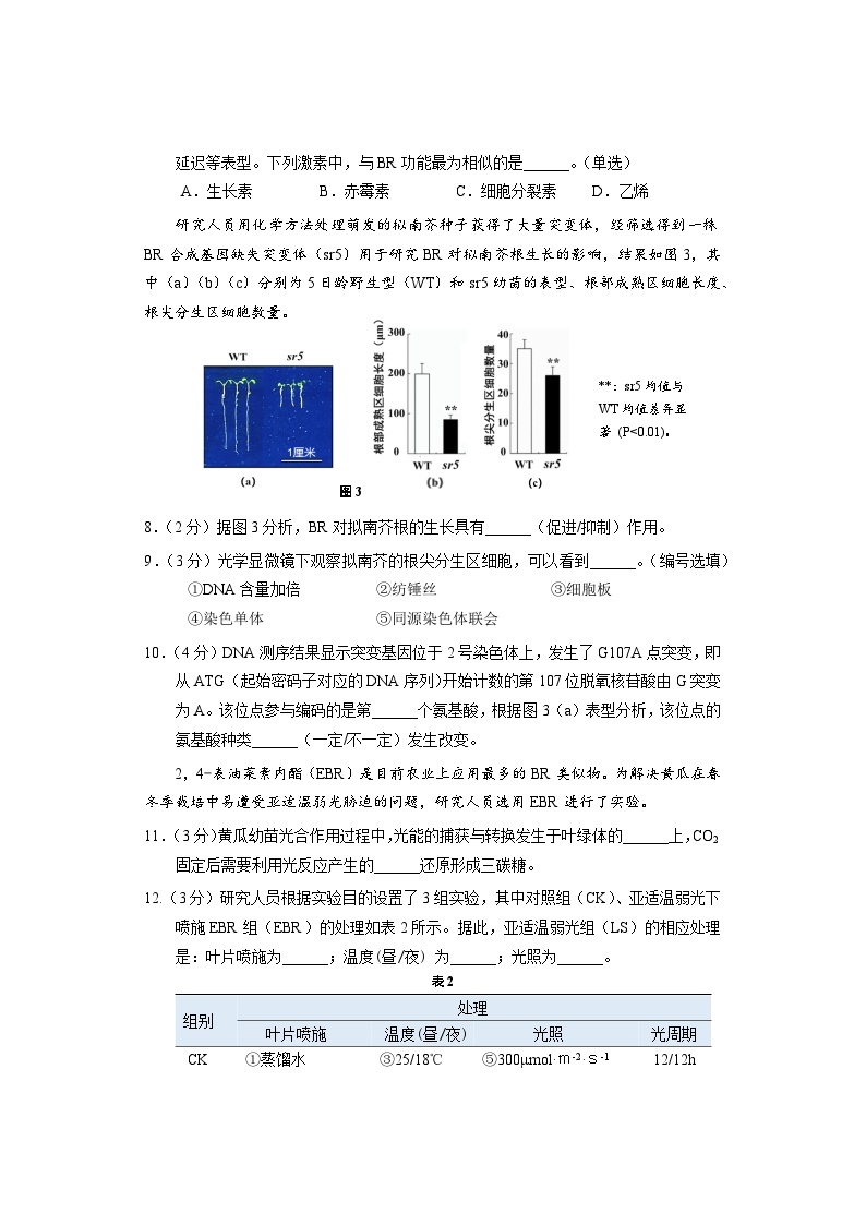 2024上海闵行区高三上学期学业质量调研试题（一模）生物含答案03