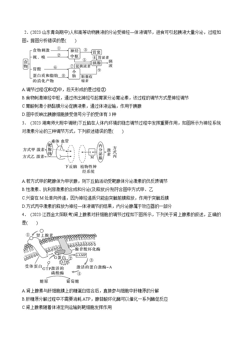 考点通关卷29 动物生命活动调节的综合(原卷版)第2页