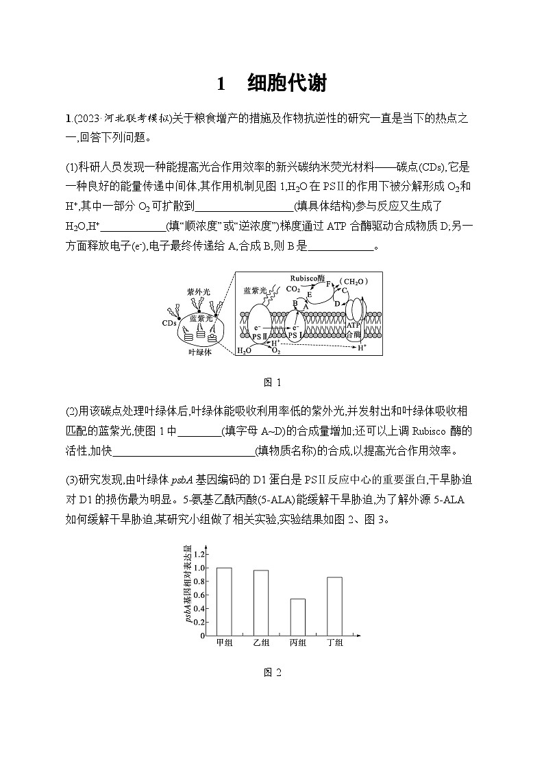 高考生物二轮复习大题练细胞代谢含答案01