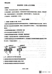 山东省滨州市惠民县第二中学2023-2024学年高一上学期12月月考生物试题