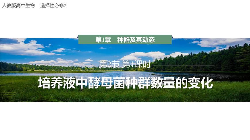 1.2.2 培養(yǎng)液中酵母菌種群數(shù)量的變化-2023-2024學(xué)年高二生物人教版選擇性必修2課件第1頁