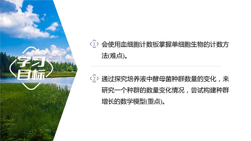 1.2.2 培養(yǎng)液中酵母菌種群數(shù)量的變化-2023-2024學(xué)年高二生物人教版選擇性必修2課件第2頁