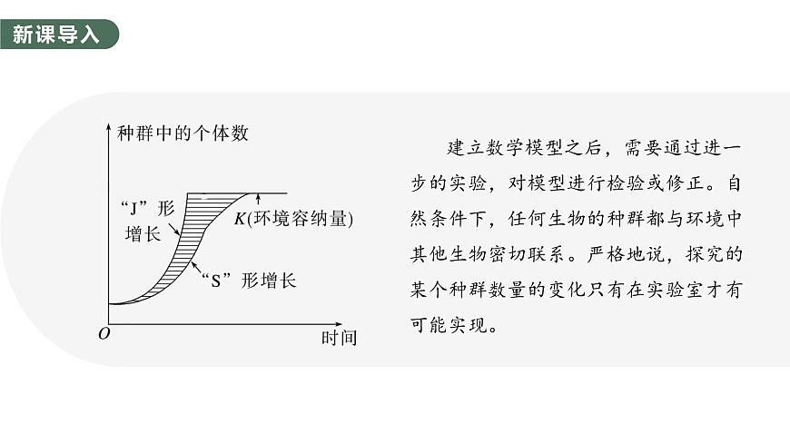 1.2.2 培養(yǎng)液中酵母菌種群數(shù)量的變化-2023-2024學(xué)年高二生物人教版選擇性必修2課件第3頁
