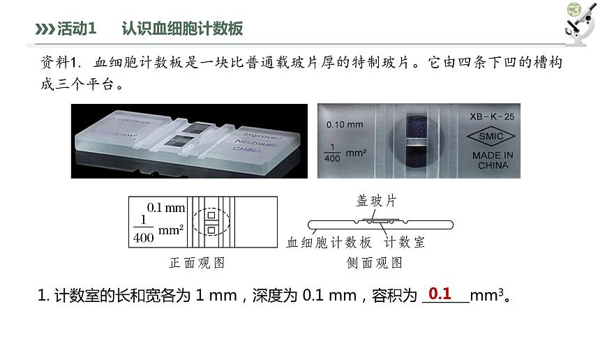 1.2.2 培養(yǎng)液中酵母菌種群數(shù)量的變化-2023-2024學(xué)年高二生物人教版選擇性必修2課件第6頁