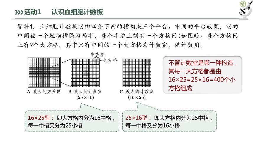 1.2.2 培養(yǎng)液中酵母菌種群數(shù)量的變化-2023-2024學(xué)年高二生物人教版選擇性必修2課件第7頁