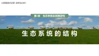 人教版 (2019)选择性必修2第1节 生态系统的结构教学ppt课件