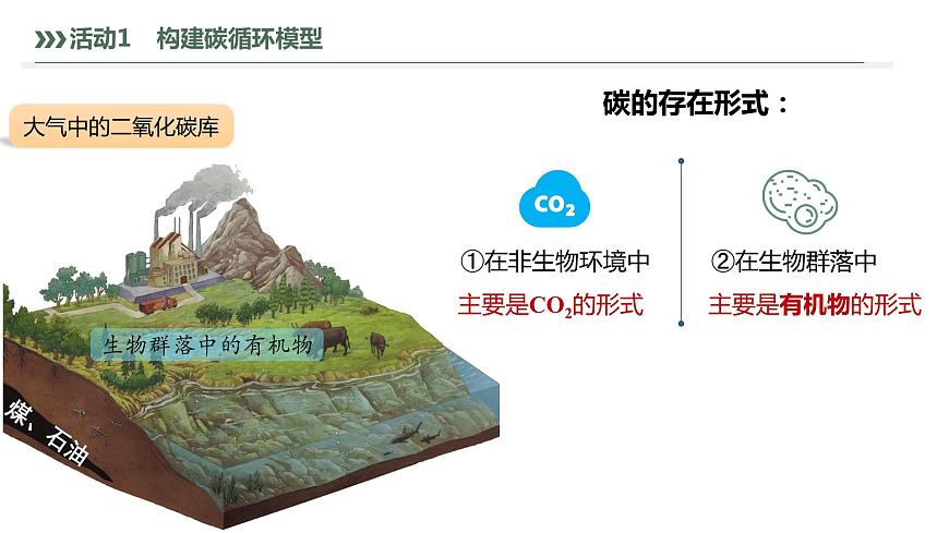 3.3.1 生態(tài)系統(tǒng)的物質(zhì)循環(huán)及與能量流動(dòng)的關(guān)系-2023-2024學(xué)年高二生物人教版選擇性必修2課件第6頁(yè)