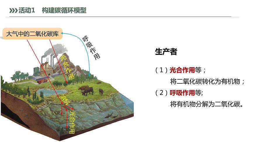 3.3.1 生態(tài)系統(tǒng)的物質(zhì)循環(huán)及與能量流動(dòng)的關(guān)系-2023-2024學(xué)年高二生物人教版選擇性必修2課件第7頁(yè)